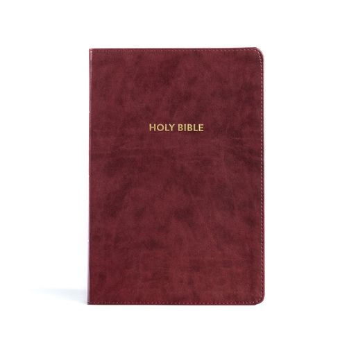 Cover image for KJV Rainbow Study Bible, Burgundy LeatherTouch, Indexed