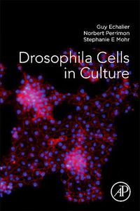 Cover image for Drosophila Cells in Culture