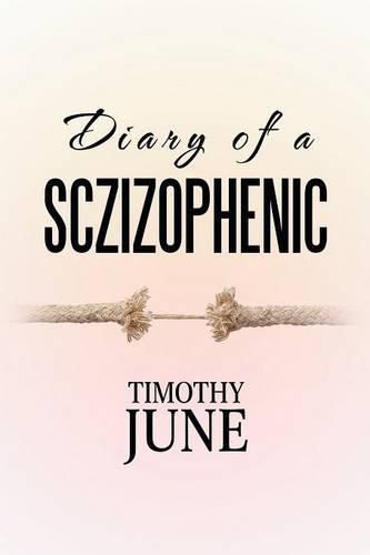 Cover image for Diary of a Schizophrenic