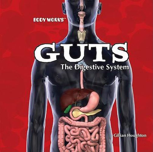 Cover image for Guts: The Digestive System