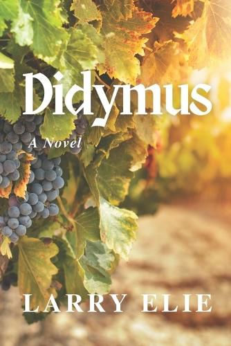 Cover image for Didymus