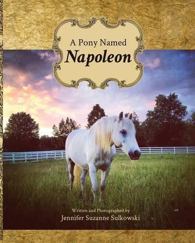 Cover image for A Pony Named Napoleon