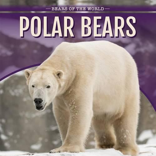 Cover image for Polar Bears