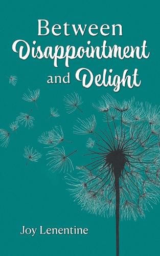 Cover image for Between Disappointment and Delight