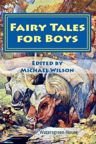 Cover image for Fairy Tales for Boys