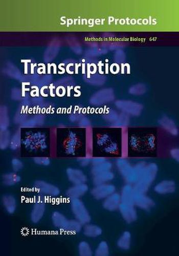 Cover image for Transcription Factors: Methods and Protocols