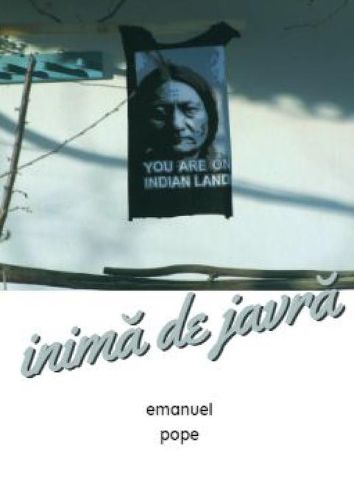 Cover image for Inimă de javră