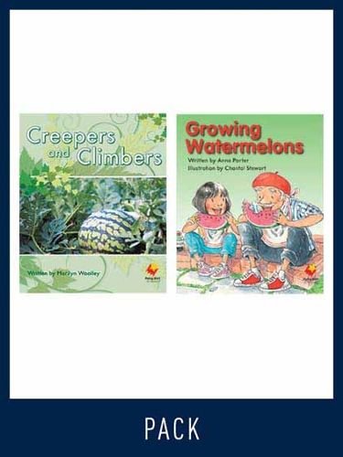 Cover image for Flying Start Guided Reading Pack Level 12, Pack 4: Paired student books (6x6) and lesson plan (1)