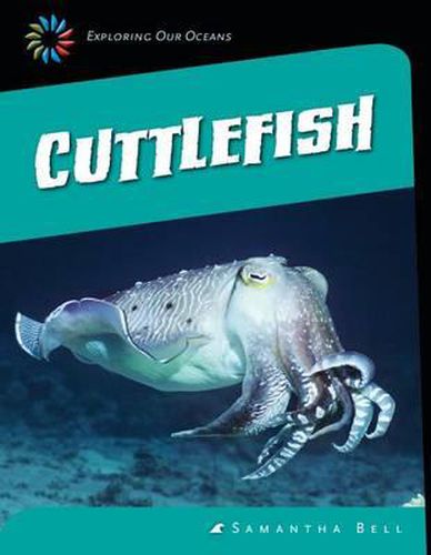 Cover image for Cuttlefish