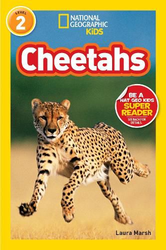 Cover image for Cheetahs