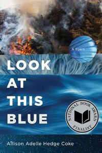 Cover image for Look at This Blue