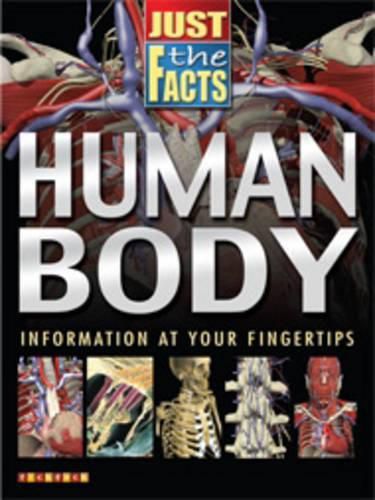 Cover image for Human Body