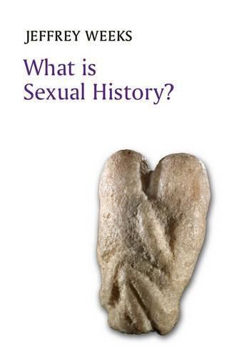 Cover image for What is Sexual History?