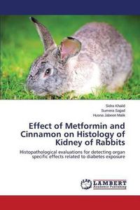 Cover image for Effect of Metformin and Cinnamon on Histology of Kidney of Rabbits