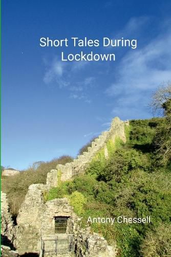 Cover image for Short Tales During Lockdown