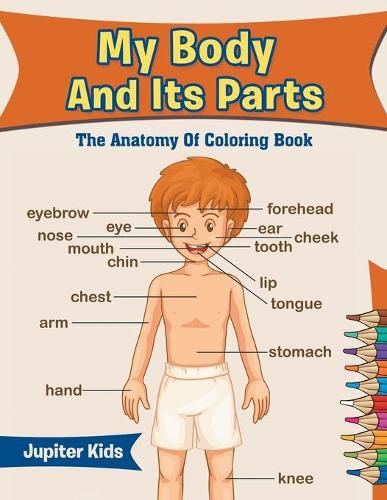 Cover image for My Body And Its Parts: The Anatomy Of Coloring Book