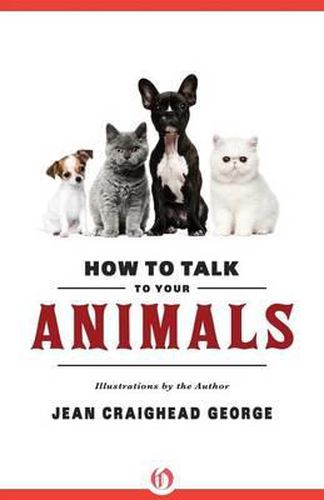 How to Talk to Your Animals