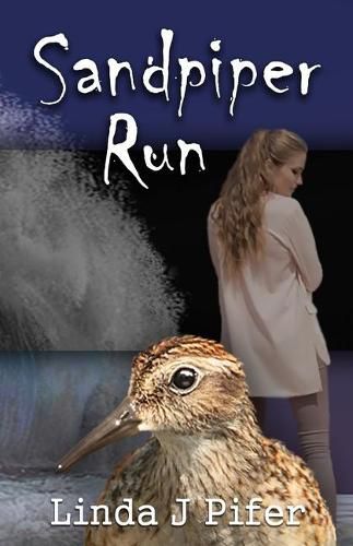 Cover image for Sandpiper Run