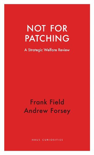 Cover image for Not for Patching: A Strategic Welfare Review