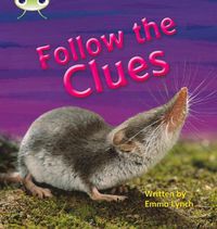 Cover image for Bug Club Phonics Non-fiction Set 18 Follow the Clues