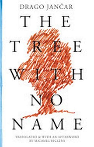 Cover image for The Tree with No Name