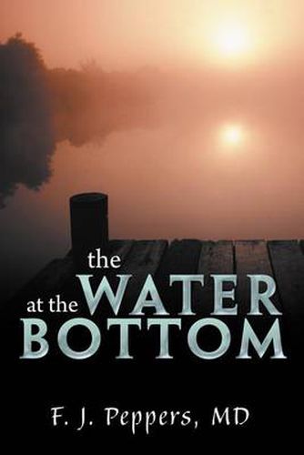 Cover image for The Water at the Bottom