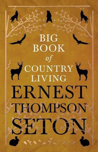 Cover image for Big Book of Country Living