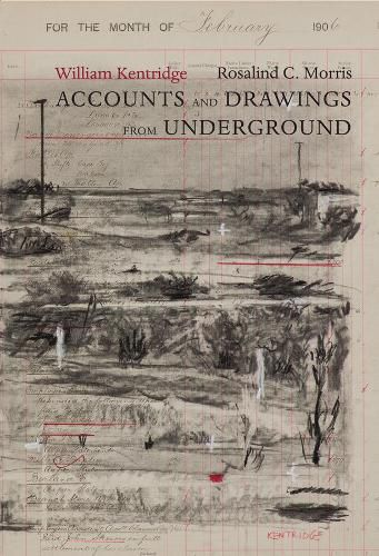 Cover image for Accounts and Drawings from Underground