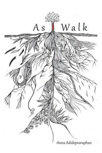 Cover image for As I Walk