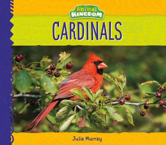 Cover image for Cardinals
