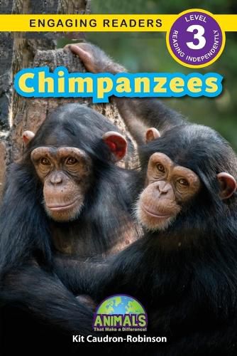 Cover image for Chimpanzees