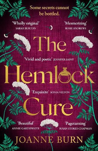The Hemlock Cure: A beautifully written story of the women of Eyam  Jennifer Saint, author of ARIADNE