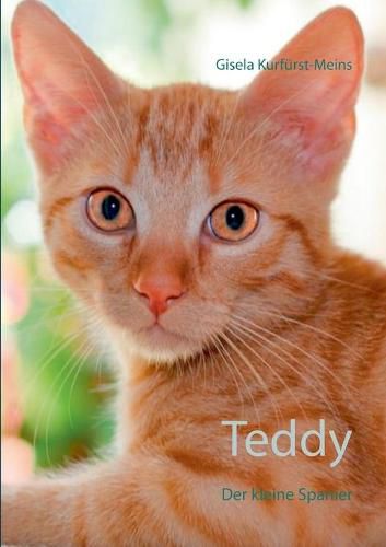 Teddy: Der kleine Spanier