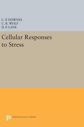 Cover image for Cellular Responses to Stress