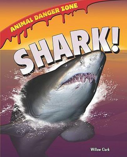 Cover image for Shark!