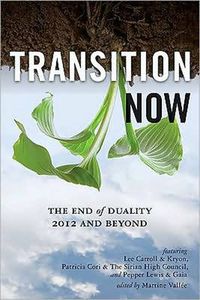 Cover image for Transition Now: Redefining Duality, 2012 and Beyond