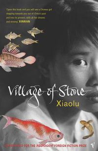 Cover image for Village of Stone