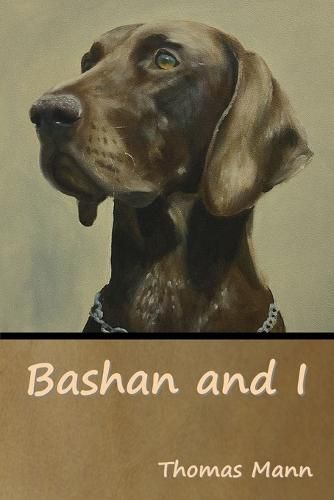 Cover image for Bashan and I