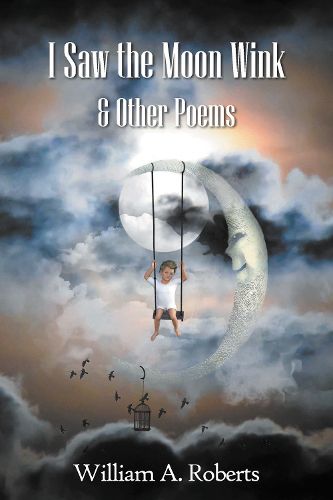 Cover image for I Saw the Moon Wink