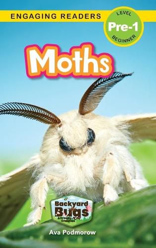 Moths