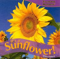 Cover image for It's a Sunflower!