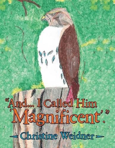 Cover image for And... I Called Him 'Magnificent'.