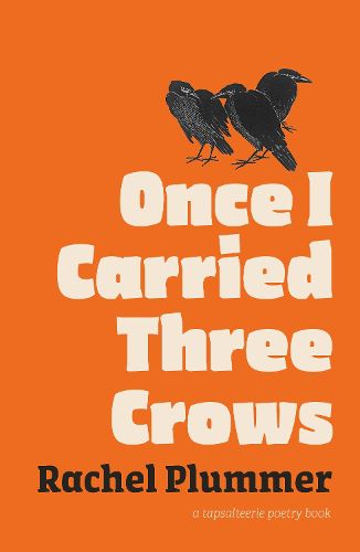 Cover image for Once I Carried Three Crows