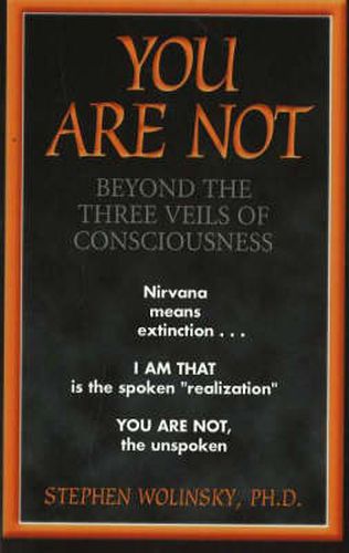 Cover image for You are Not: Beyond the Three Veils of Consciousness