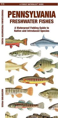 Cover image for Pennsylvania Freshwater Fishes