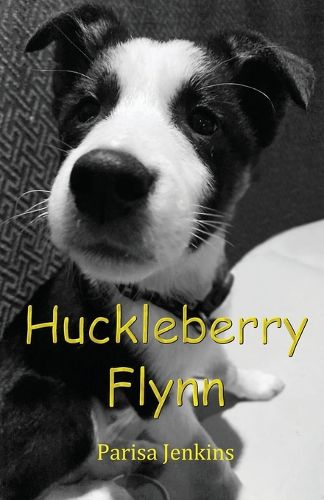 Cover image for Huckleberry Flynn