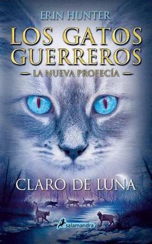 Cover image for Claro de luna / Moonrise