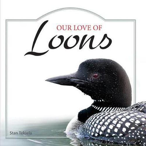 Cover image for Our Love of Loons