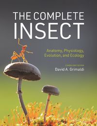 Cover image for The Complete Insect