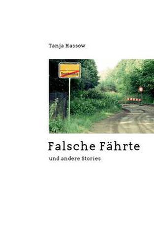 Cover image for Falsche Fahrte: und andere Stories